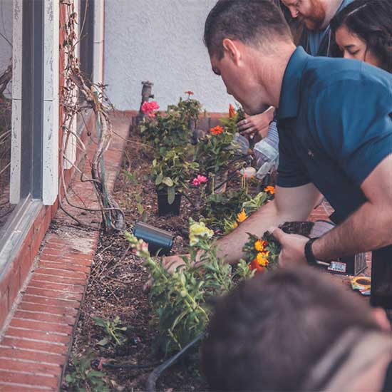 Rice Milling Process