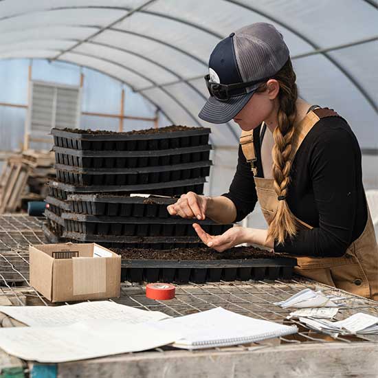 KBA Agrotech Facility